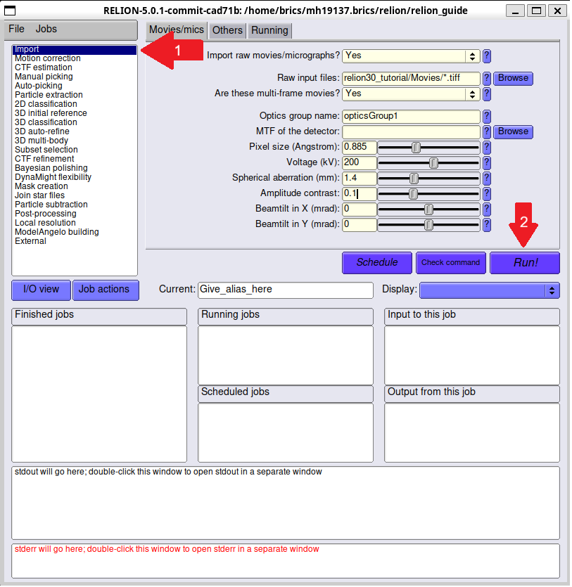 Relion Import GUI