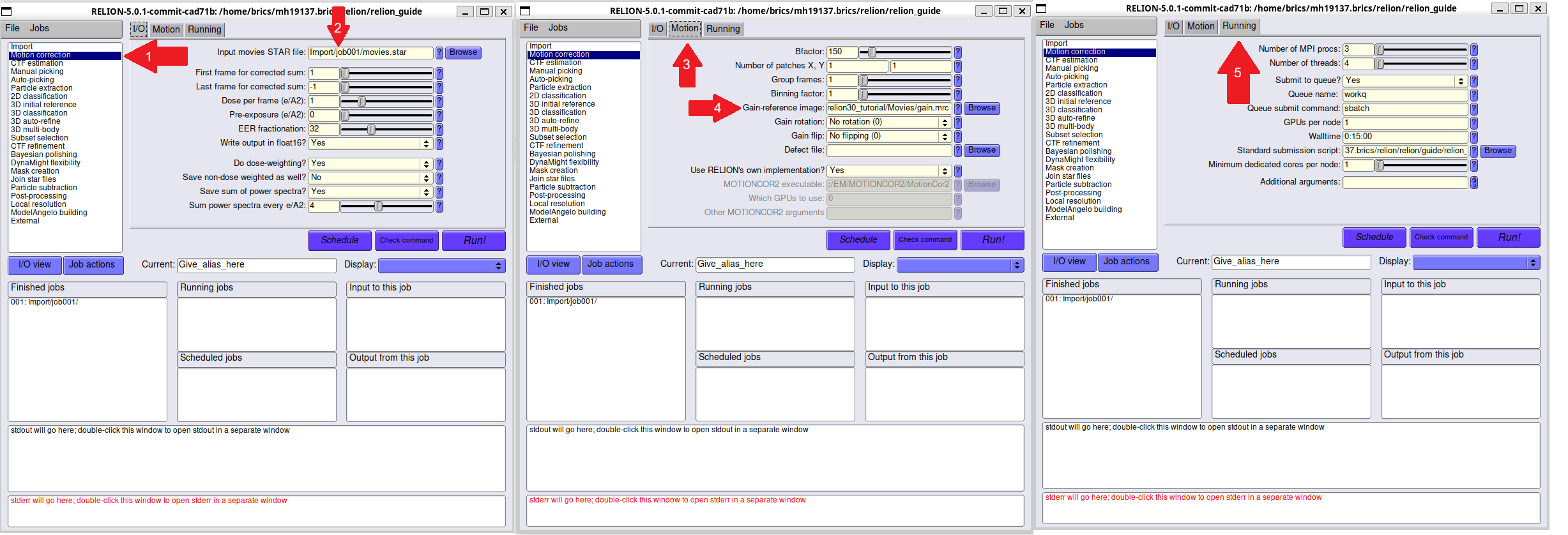 Relion Motion Correction GUI