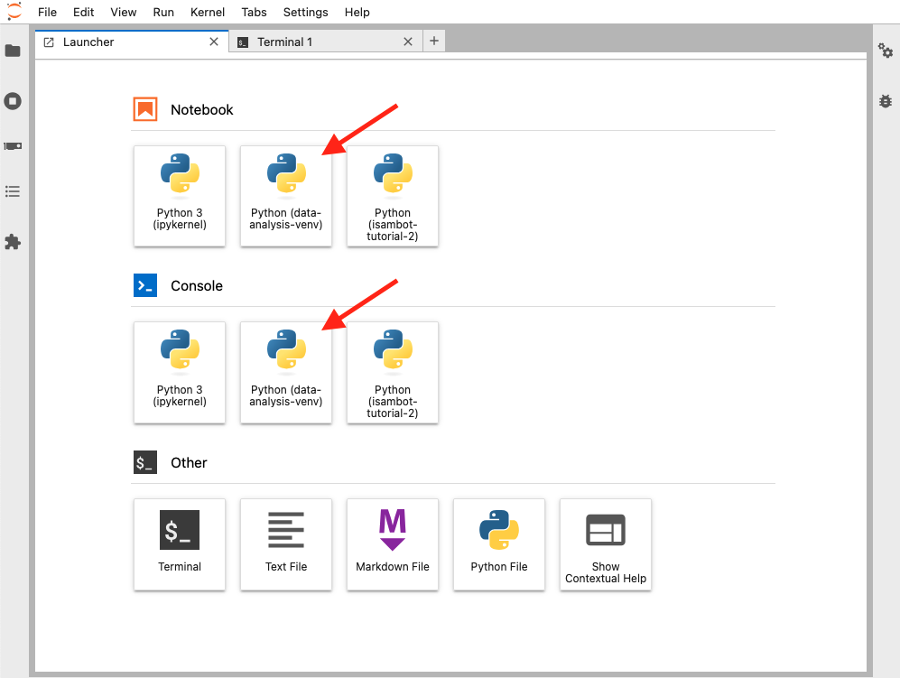 Screenshot of JupyterLab interface showing Launcher tab with custom Jupyter kernel indicated with arrows