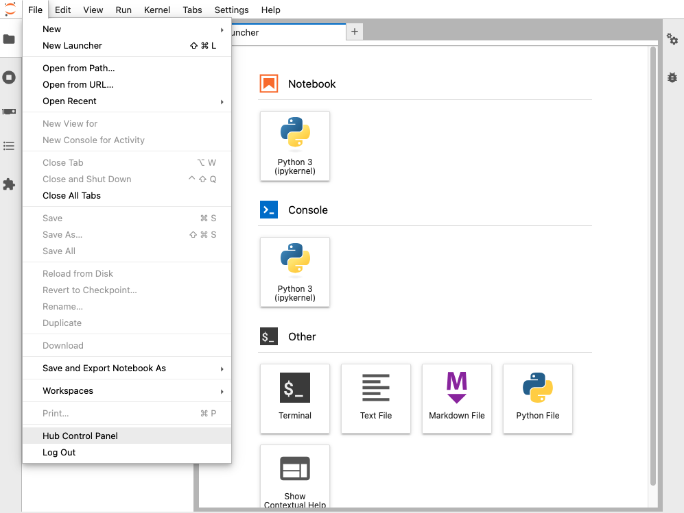 Screenshot of JupyterLab showing open File menu with Hub Control Panel option highlighted
