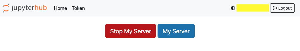 Screenshot of JupyterHub control panel showing "Stop My Server" button