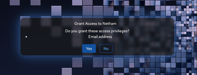 A browser dialog with the title "Grant Access to Netham", asking "Do you grant these access privileges?" with an email address field and Yes and No buttons