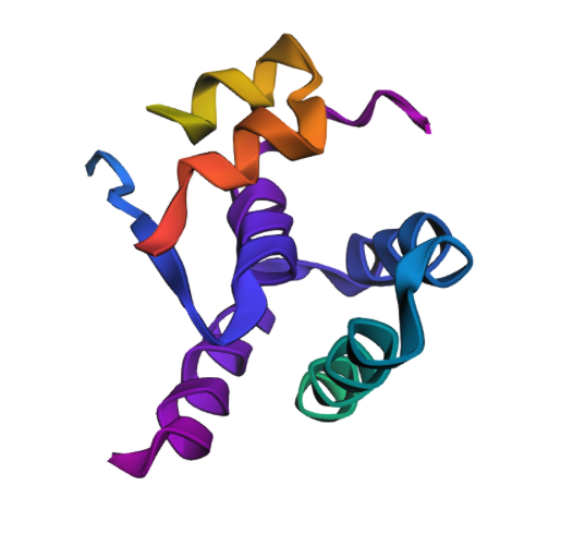 Design an insulin binder!